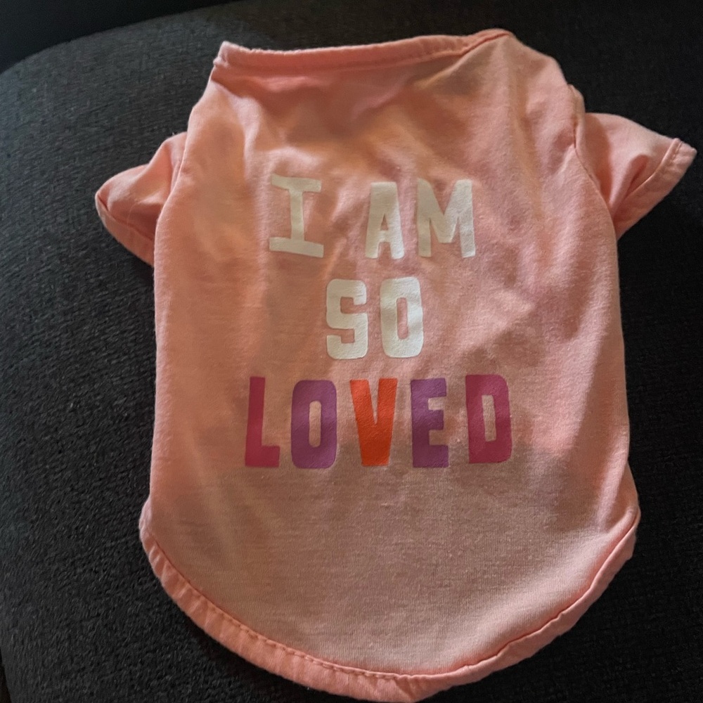 Valentine’s Day shirt for dog S